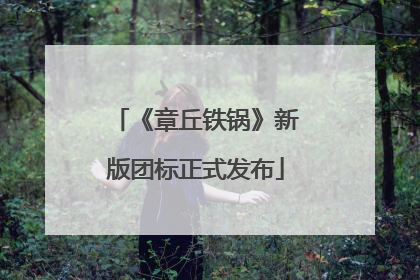 《章丘铁锅》新版团标正式发布
