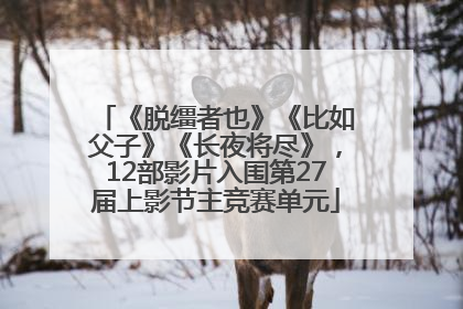 《脱缰者也》《比如父子》《长夜将尽》，12部影片入围第27届上影节主竞赛单元