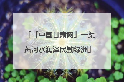 「中国甘肃网」一渠黄河水润泽民勤绿洲