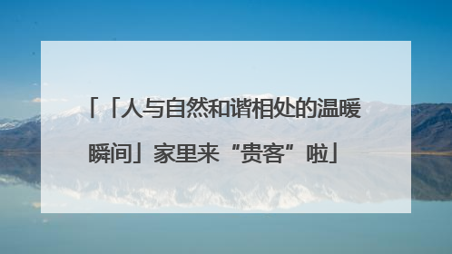 「人与自然和谐相处的温暖瞬间」家里来“贵客”啦