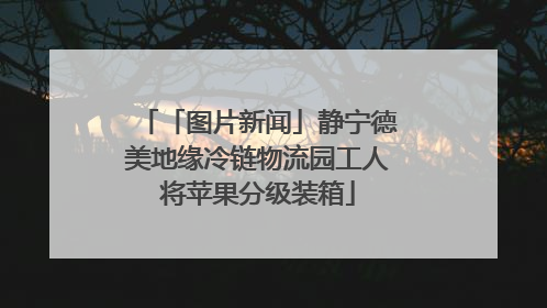「图片新闻」静宁德美地缘冷链物流园工人将苹果分级装箱