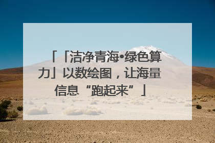 「洁净青海•绿色算力」以数绘图，让海量信息“跑起来”