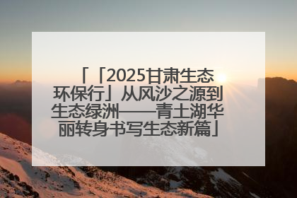 「2025甘肃生态环保行」从风沙之源到生态绿洲——青土湖华丽转身书写生态新篇