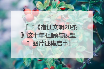 “《宿迁文明20条》这十年·回顾与展望”图片征集启事