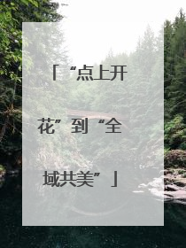 “点上开花”到“全域共美”