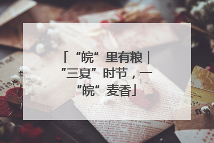 “皖”里有粮｜“三夏”时节，一“皖”麦香