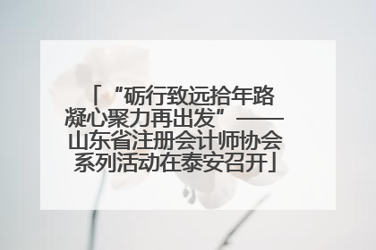 “砺行致远拾年路 凝心聚力再出发”——山东省注册会计师协会系列活动在泰安召开