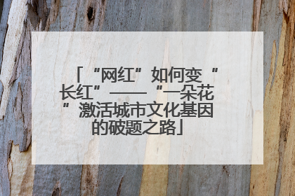 “网红”如何变“长红”——“一朵花”激活城市文化基因的破题之路