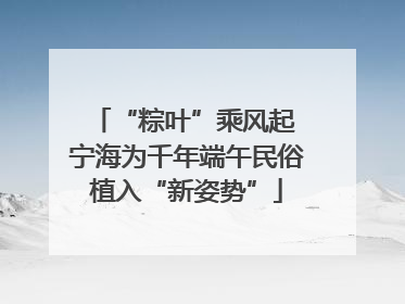 “粽叶”乘风起 宁海为千年端午民俗植入“新姿势”