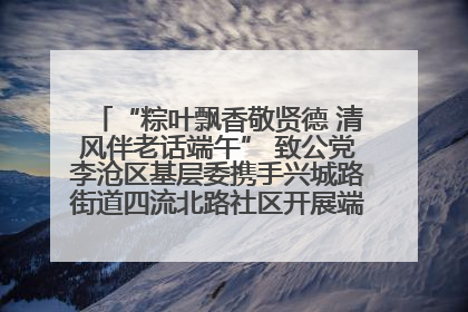 “粽叶飘香敬贤德 清风伴老话端午” 致公党李沧区基层委携手兴城路街道四流北路社区开展端午节主题活动