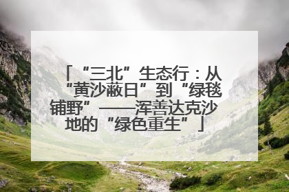 “三北”生态行：从“黄沙蔽日”到“绿毯铺野”——浑善达克沙地的“绿色重生”