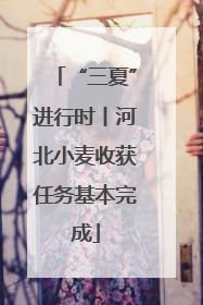 “三夏”进行时丨河北小麦收获任务基本完成