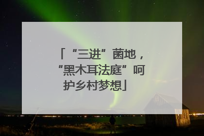 “三进”菌地，“黑木耳法庭”呵护乡村梦想