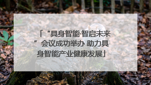 “具身智能·智启未来”会议成功举办 助力具身智能产业健康发展