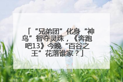 “兄弟团”化身“神鸟”智夺灵珠，《奔跑吧13》今晚“百谷之王”花落谁家？