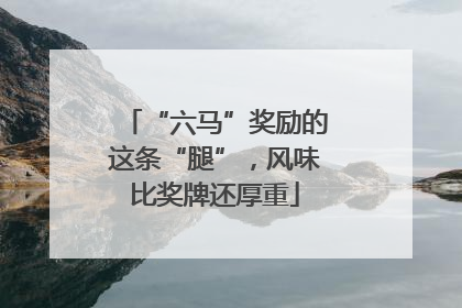 “六马”奖励的这条“腿”，风味比奖牌还厚重