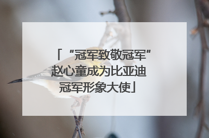 “冠军致敬冠军” 赵心童成为比亚迪冠军形象大使