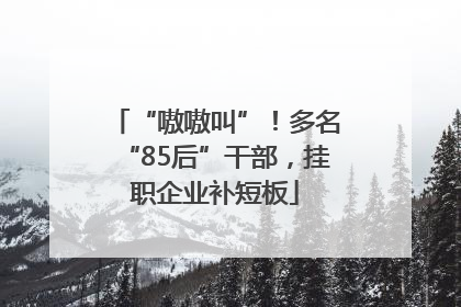 “嗷嗷叫”！多名“85后”干部，挂职企业补短板