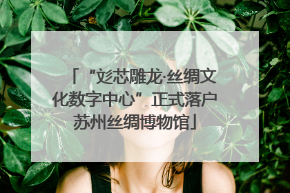 “彣芯雕龙·丝绸文化数字中心”正式落户苏州丝绸博物馆