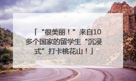 “很美丽！”来自10多个国家的留学生“沉浸式”打卡桃花山！