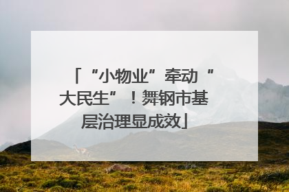 “小物业”牵动“大民生”！舞钢市基层治理显成效