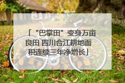 “巴掌田”变身万亩良田 四川合江耕地面积连续三年净增长