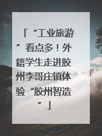 “工业旅游”看点多！外籍学生走进胶州李哥庄镇体验“胶州智造”
