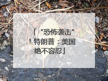 “恐怖袭击”！特朗普：美国绝不容忍