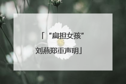 “扁担女孩”刘燕郑重声明