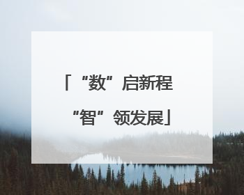 “数”启新程 “智”领发展