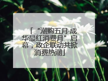 “潮购五月·成华最红消费月”启幕，政企联动共掀消费热潮