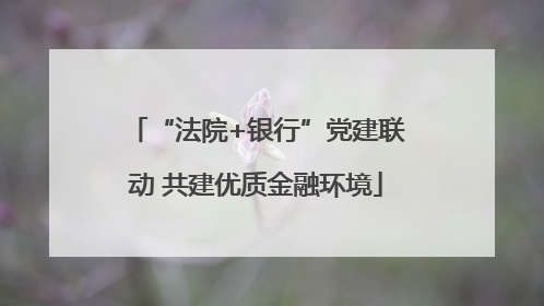 “法院+银行”党建联动 共建优质金融环境