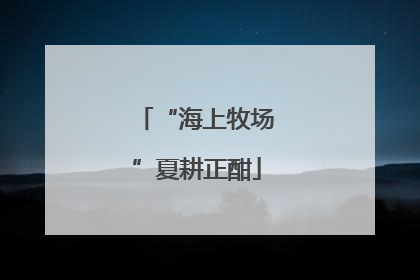 “海上牧场”夏耕正酣