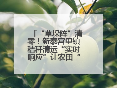 “草垛阵”清零！新泰宫里镇秸秆清运“实时响应”让农田“一键焕新”