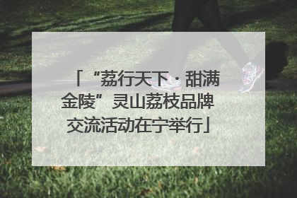“荔行天下・甜满金陵”灵山荔枝品牌交流活动在宁举行