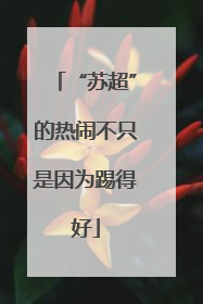 “苏超”的热闹不只是因为踢得好