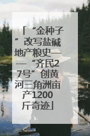 “金种子”改写盐碱地产粮史——“齐民27号”创黄河三角洲亩产1200斤奇迹