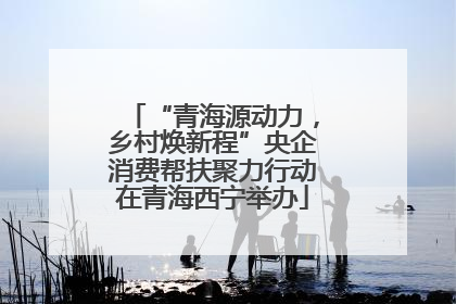 “青海源动力，乡村焕新程”央企消费帮扶聚力行动在青海西宁举办