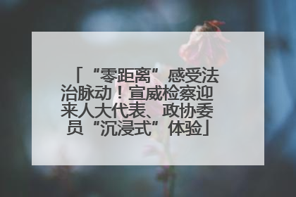 “零距离”感受法治脉动！宣威检察迎来人大代表、政协委员“沉浸式”体验