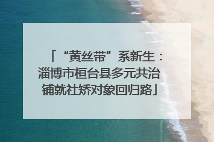 “黄丝带”系新生：淄博市桓台县多元共治铺就社矫对象回归路