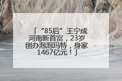 “85后”王宁成河南新首富，23岁创办泡泡玛特，身家1467亿元！