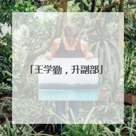 王学勤，升副部
