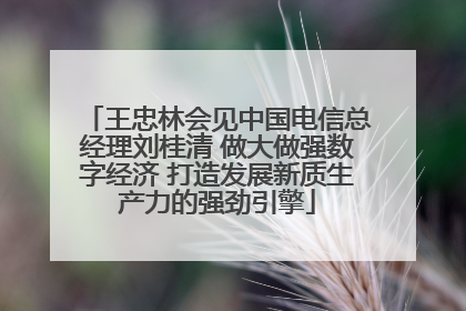 王忠林会见中国电信总经理刘桂清 做大做强数字经济 打造发展新质生产力的强劲引擎