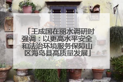 王成国在丽水调研时强调：以更高水平安全和法治环境服务保障山区海岛县高质量发展