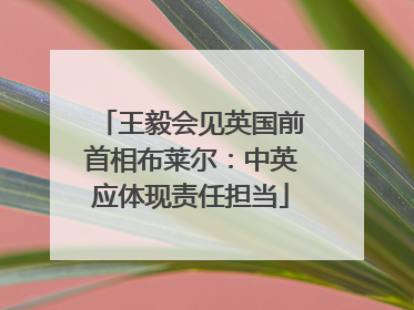 王毅会见英国前首相布莱尔：中英应体现责任担当