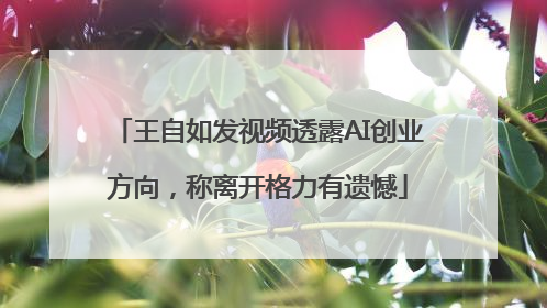 王自如发视频透露AI创业方向，称离开格力有遗憾
