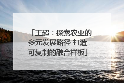 王超：探索农业的多元发展路径 打造可复制的融合样板