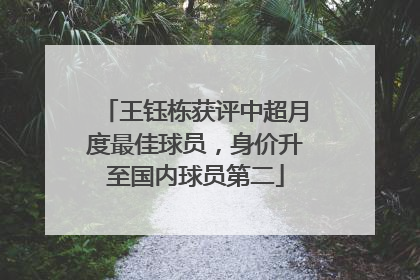 王钰栋获评中超月度最佳球员，身价升至国内球员第二