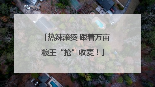 热辣滚烫 跟着万亩粮王“抢”收麦！