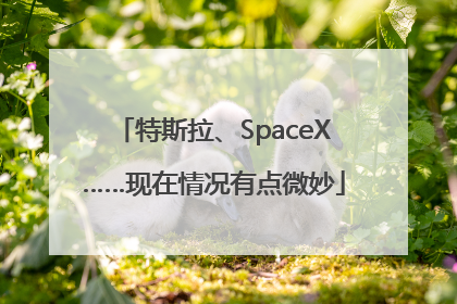 特斯拉、SpaceX……现在情况有点微妙